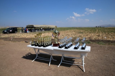 Posta güvercinleri yarıştı