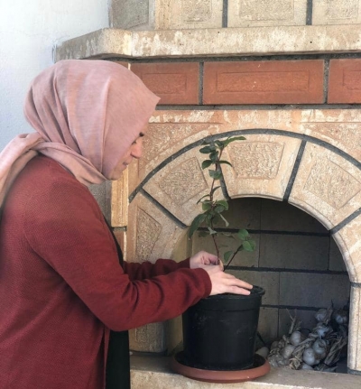 Şırnak AK Parti Kadın Kolları Yönetimi Tohum Ve Fideleri Toprakla Buluşturdu. 