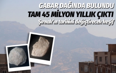 Şırnak Gabar Dağı'nda 45 milyon yıllık deniz canlıları fosilleri