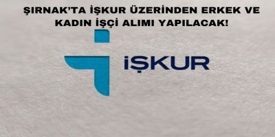Şırnak ve İlçelerinde İŞKUR Üzerinden Çok Sayıda Kadın ve Erkek Personel Alımı Yapılacak!