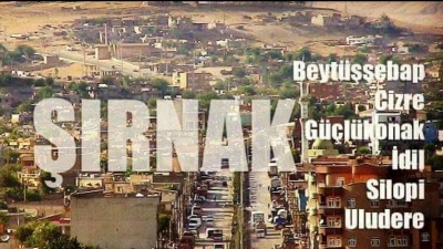 Şırnak'ın evlenme ve boşanma istatistikleri açıklandı