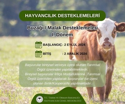 Şırnaklılar Dikkat! Başvurular Başladı! 10 Bin 300 TL'ye Kadar Destek Verilecek