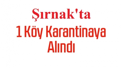 Şırnak'ta 1 köy karantinaya alındı