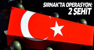 Şırnak'ta 2 asker şehit oldu