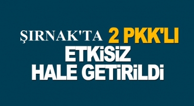 Şırnak'ta 2 PKK’lı etkisiz hale getirildi