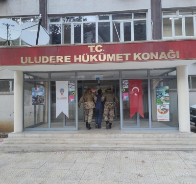 Şırnak'ta 4 yıl kesinleşmiş hapis cezası bulunan hükümlü yakalandı