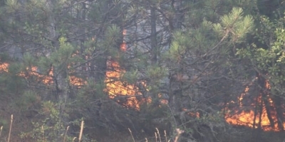 Şırnak'ta 5 noktada çıkan örtü yangınına müdahale ediliyor.