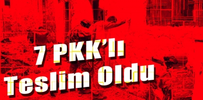 Şırnak'ta 7 PKK’lı Teslim Oldu
