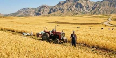 Şırnak’ta ÇKS Başvuruları Devam Ediyor: Çiftçilere '31 Aralık' Uyarısı!