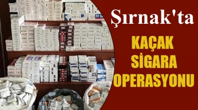 Şırnak'ta kaçak sigara operasyonu