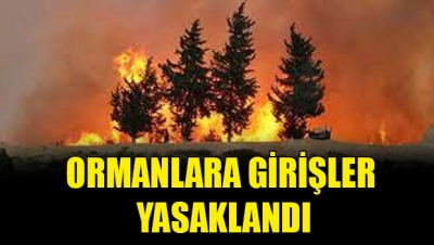 Şırnak'ta ormanlık alanlara girişler ikinci bir duyuruya kadar yasaklandı