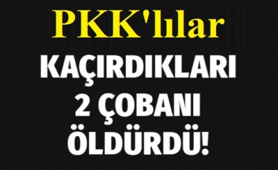 Şırnak'ta PKK'lılar  2 çobanı öldürdü