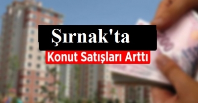 Şırnak'ta şubat ayında konut satışları yüzde 8,8 arttı 