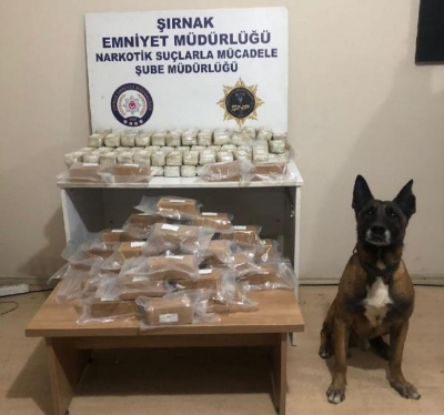 Şırnak'ta, TIR'ın gizli bölmelerinde 52 kilo 638 gram eroin ele geçirildi