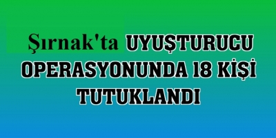 Şırnak'ta uyuşturucu operasyonunda gözaltına alınan 24 zanlıdan 18'i tutuklandı