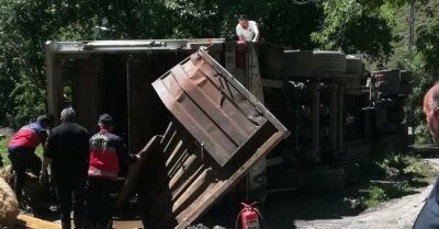 Şırnak'tan Hakkâri’ye Giden Tır Devrildi: Onlarca Koyun Telef Oldu