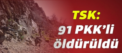 TSK: Son bir haftada 91 PKK'li öldürüldü
