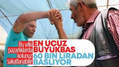 Vatandaşlar merakla bekliyordu! 2023 yılı kurban fiyatları